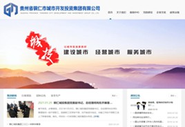 望谟城市开发投资集团有限公司